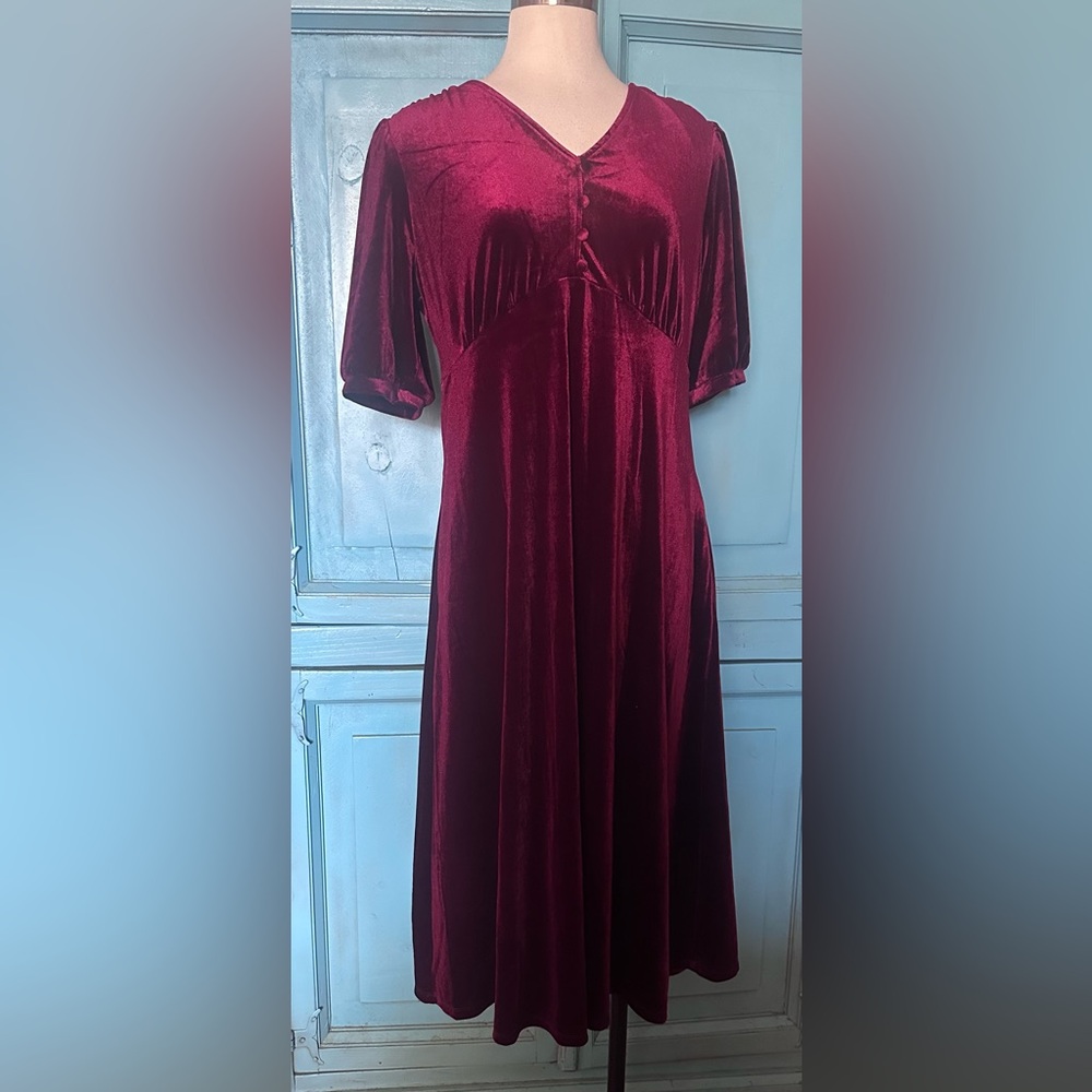 Briggs New York Velvet Wine Dress